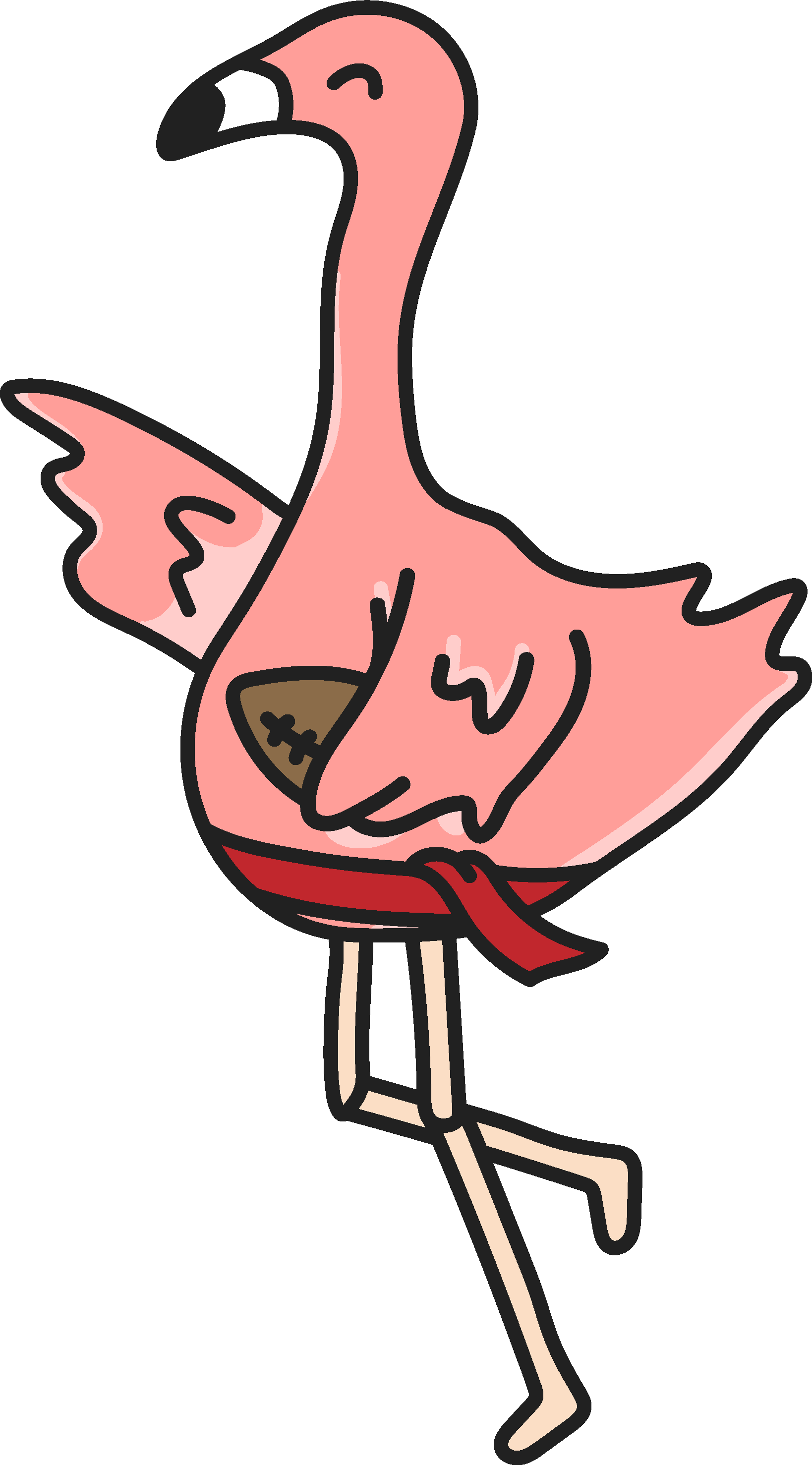 SIGNATURE FLAMINGO FLAG FOOTBALL (1)